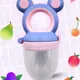 Purple Teddy__TUK TUK BABY