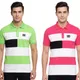 Parrot Green And Pink__DYRECT DEALS