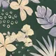 Green__STYLEICAA