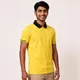 Yellow__PCTC