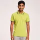 Parrot Green__PCTC
