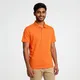 Orange__PCTC