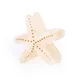 Ivory Beige