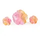 Peach Blossom