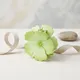 Pistachio Green__NICEG