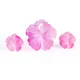 Candy Pink