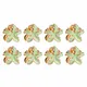 Mint Green__NICEG