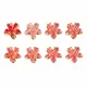 Coral Red__NICEG