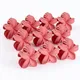 Coral Red__NICEG