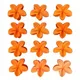 Marigold Orange__NICEG