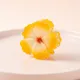 Yellow__NICEG
