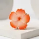 Coral Peach__NICEG