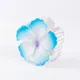 Sky Blue__NICEG
