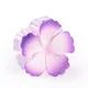 Lavender Purple