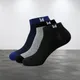 Multicolor 6