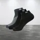 Multicolor 5