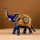 Multicolor__MADE IN MARWAR