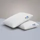 Pack Of 2__JSR GLOBE ENTERPRISES