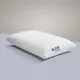 Pack Of 1__JSR GLOBE ENTERPRISES