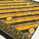 Yellow And Brown__VANSEEMA