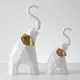White & Golden__TRENDHUTZ