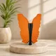 Orange & Black__TRENDHUTZ