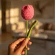 Pink__THE SAANJH KNOT