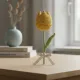 Yellow__THE SAANJH KNOT