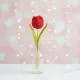 Red__THE SAANJH KNOT