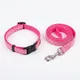 Reflective Pink