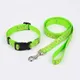 Reflective Green