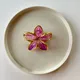 Purple__Store Name
