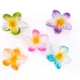 GreenBloom__Store Name
