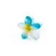 OceanBlue__Store Name