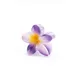 LavenderBloom__Store Name