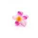 PinkBloom__Store Name