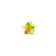 GreenBloom__Store Name
