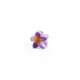 LavenderBloom__Store Name