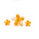 SunsetOrange__Store Name