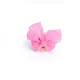 CottonCandyPink__Store Name
