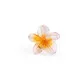 OrangeGlitter__Store Name