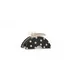 BlackDot__Store Name