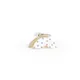 CreamDot__Store Name