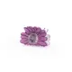 Purple__Store Name