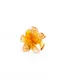 OrangeGlitter__Store Name