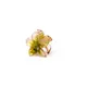 GreenGlitter__Store Name