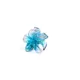LightBlue__Store Name