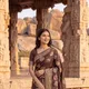 Chocolate Brown And Gold__LAXMI SAREE