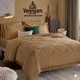 Beige__VARENYAM GROUP