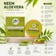 Pack Of 1__PURICA HERBAL